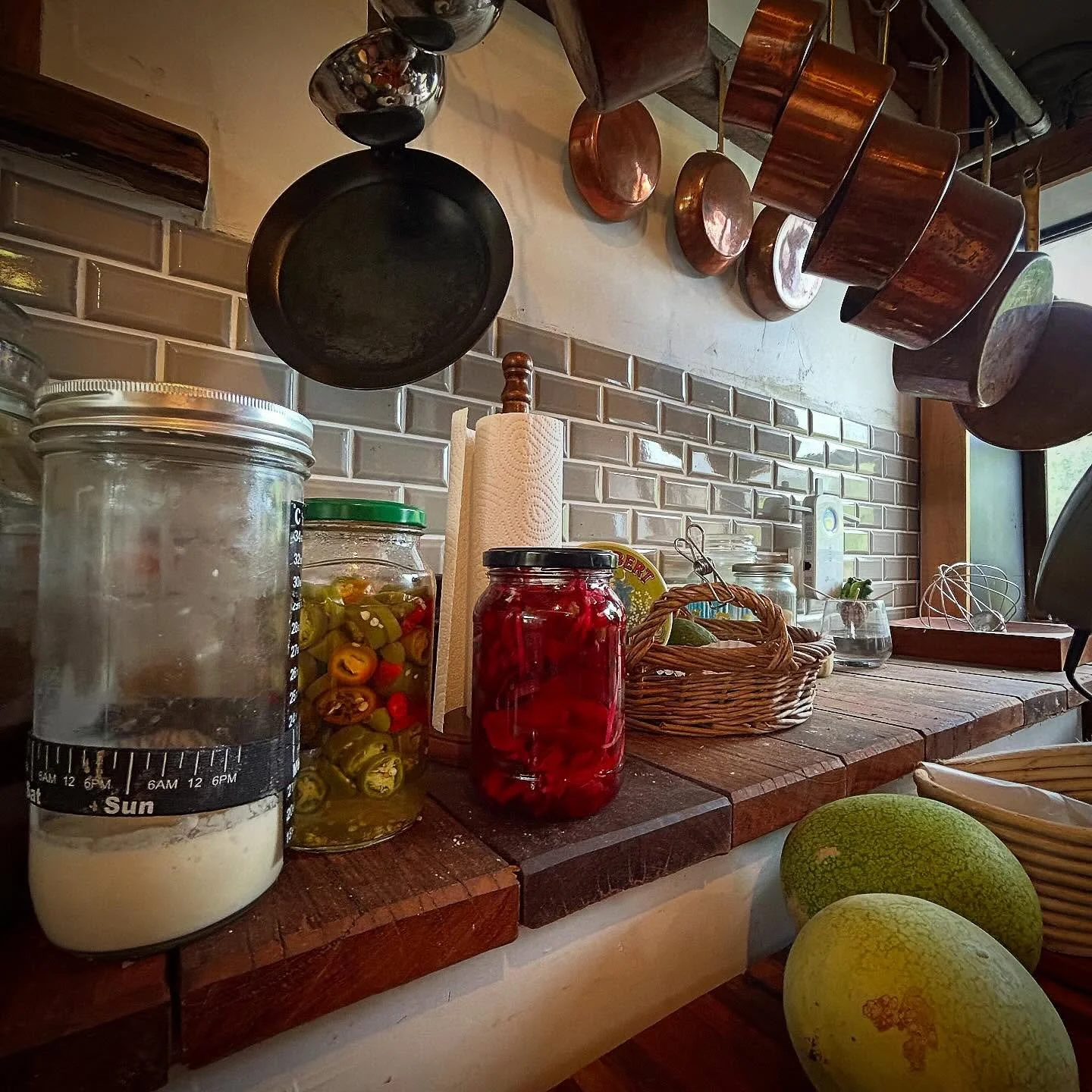 Sourdough starter, pickled vegetables and fresh fruits... 

Homemade goodness 😋

#homestead #family #australia #kitchen #homecooking