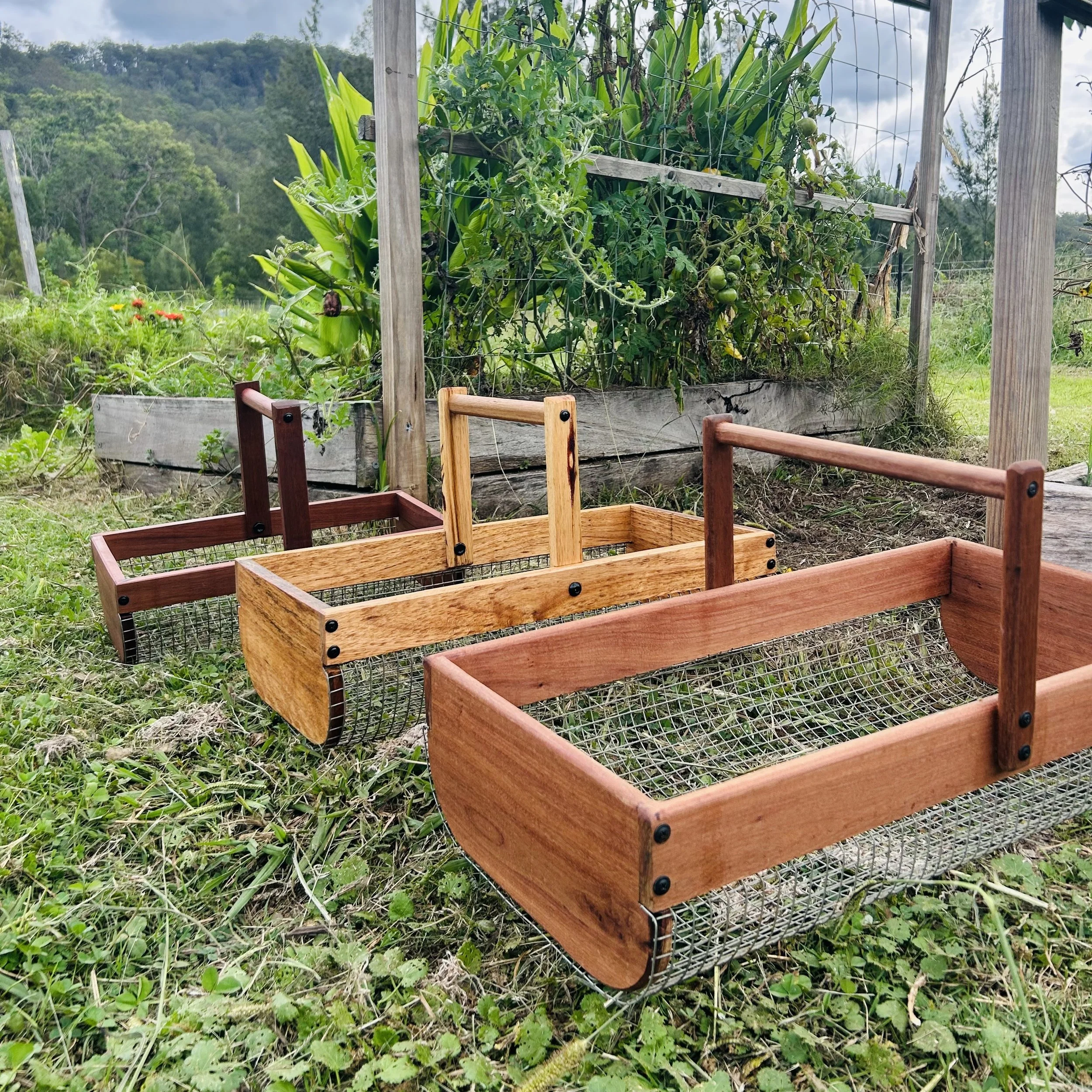 Harvskets Group Shot.jpg