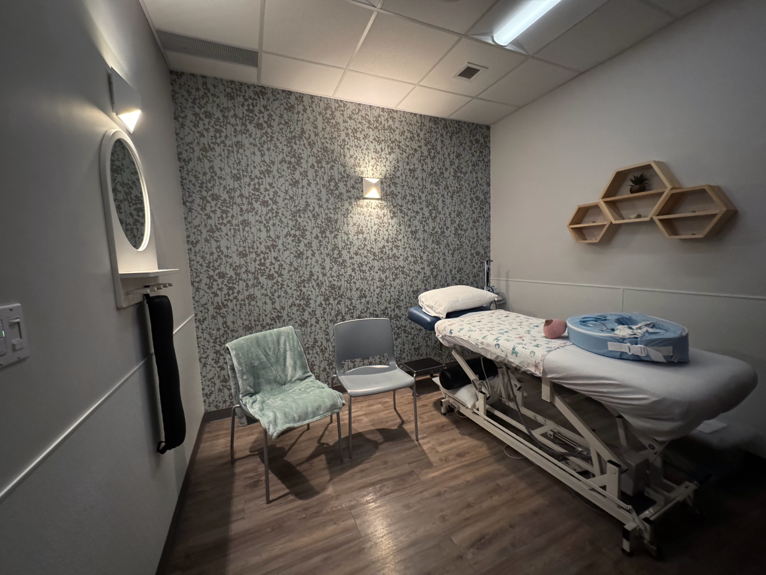 Empty hospital room with a patient bed, two chairs, a small mirror, and wall shelves with a plant, all with soft lighting.