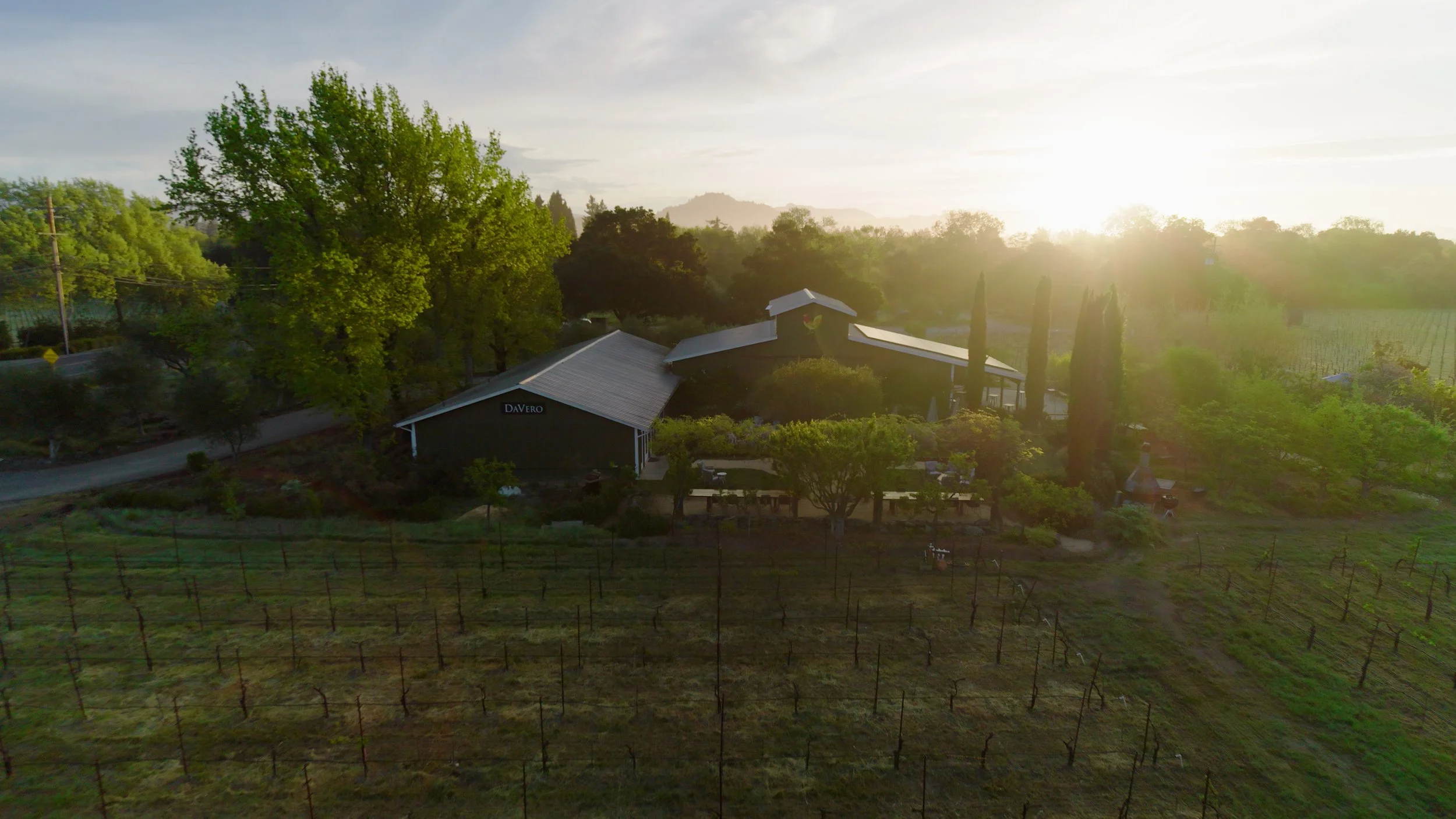 Sunrise over a vineyard with green trees, a building with a metal roof, and a hilly landscape in the background.