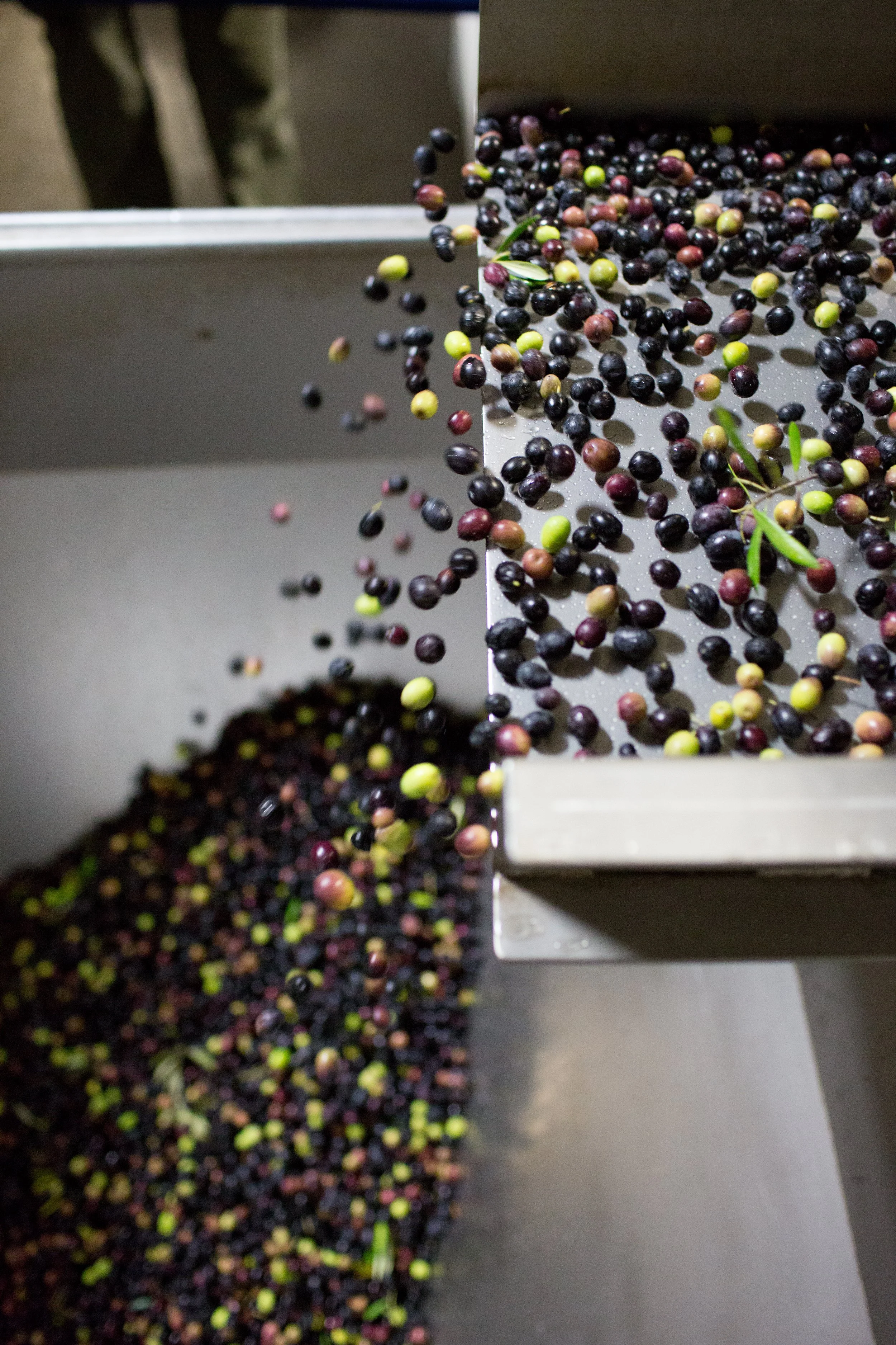 Black and green olives spilling out of metal containers onto a surface.