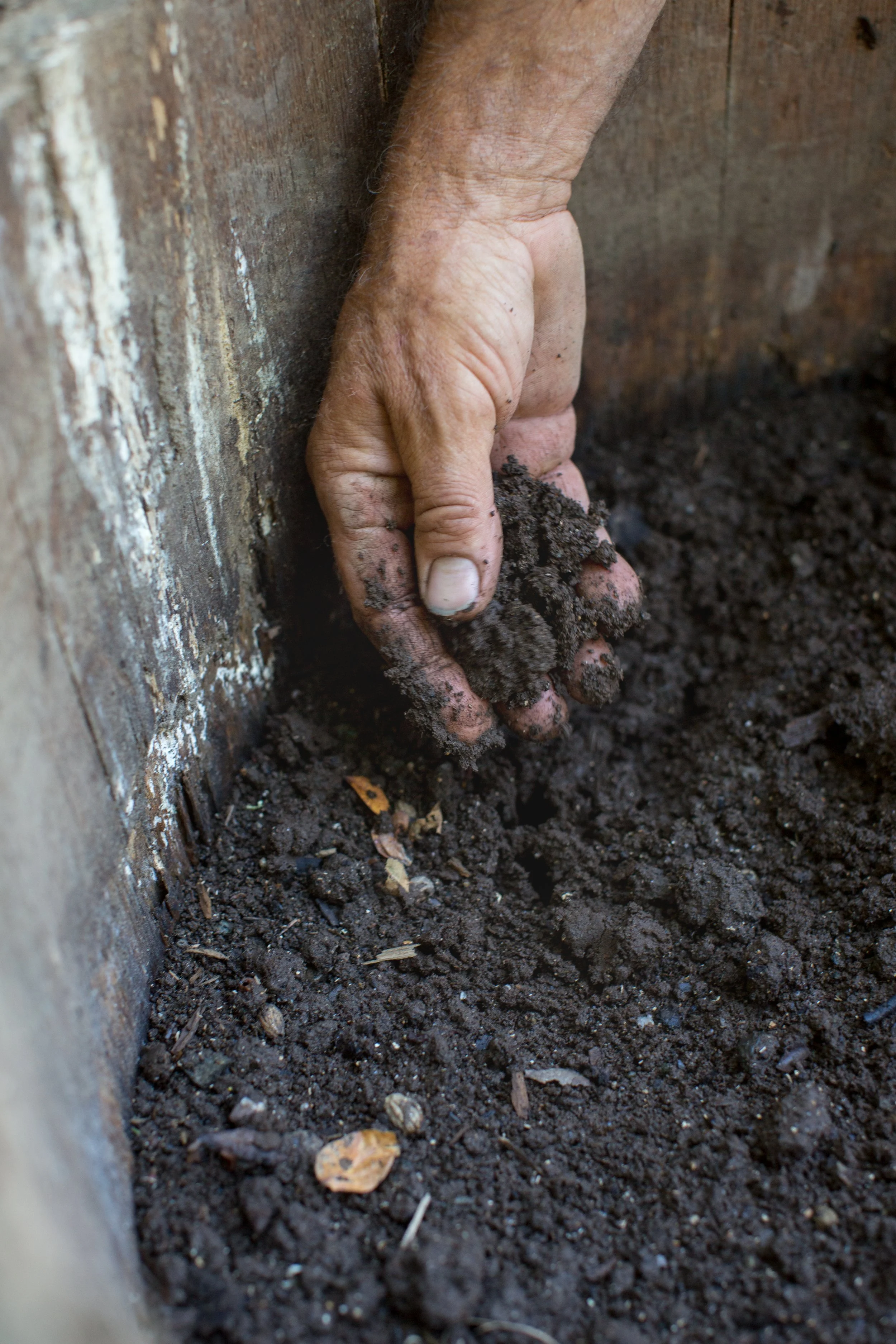 A close-up view of a hand with dirt, planting or digging in dark soil, beside a wooden surface.