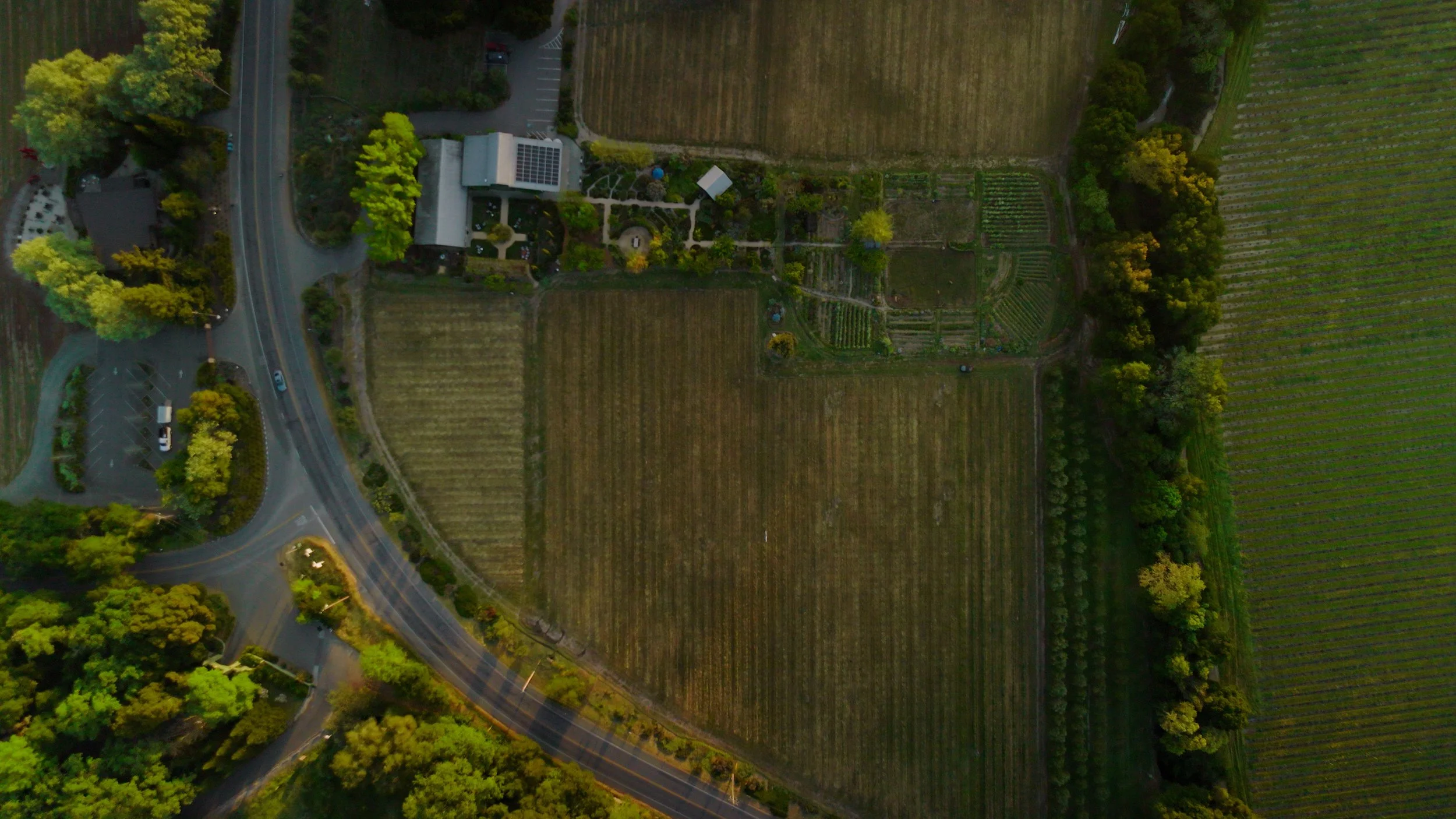 An aerial view of a large garden with various plots of cultivated land, surrounded by trees, with a road running along the left side and a parking lot with cars visible at the bottom left.
