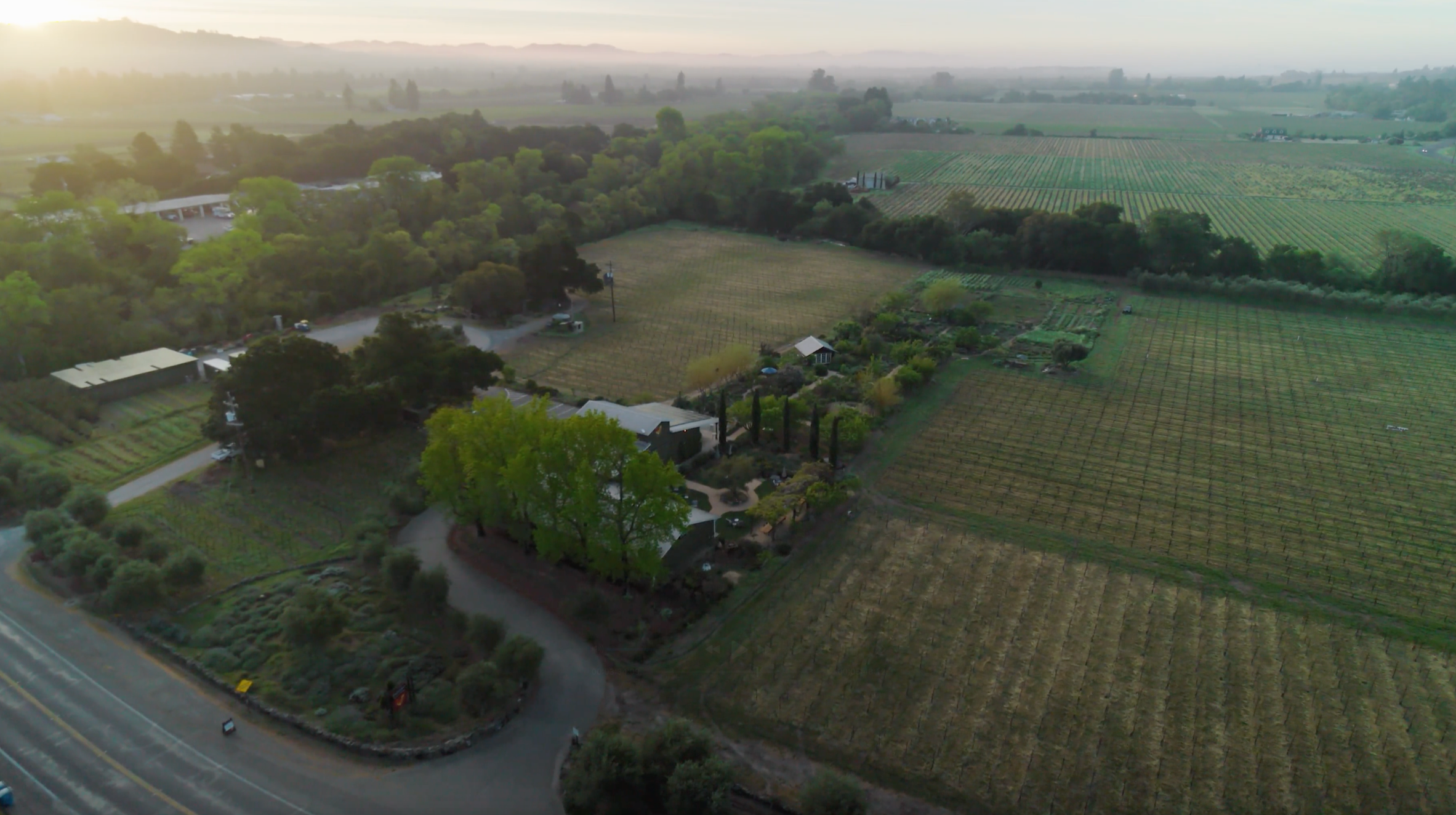 Aerial view of farmland with vineyards, trees, and a few buildings, taken during sunset or sunrise.