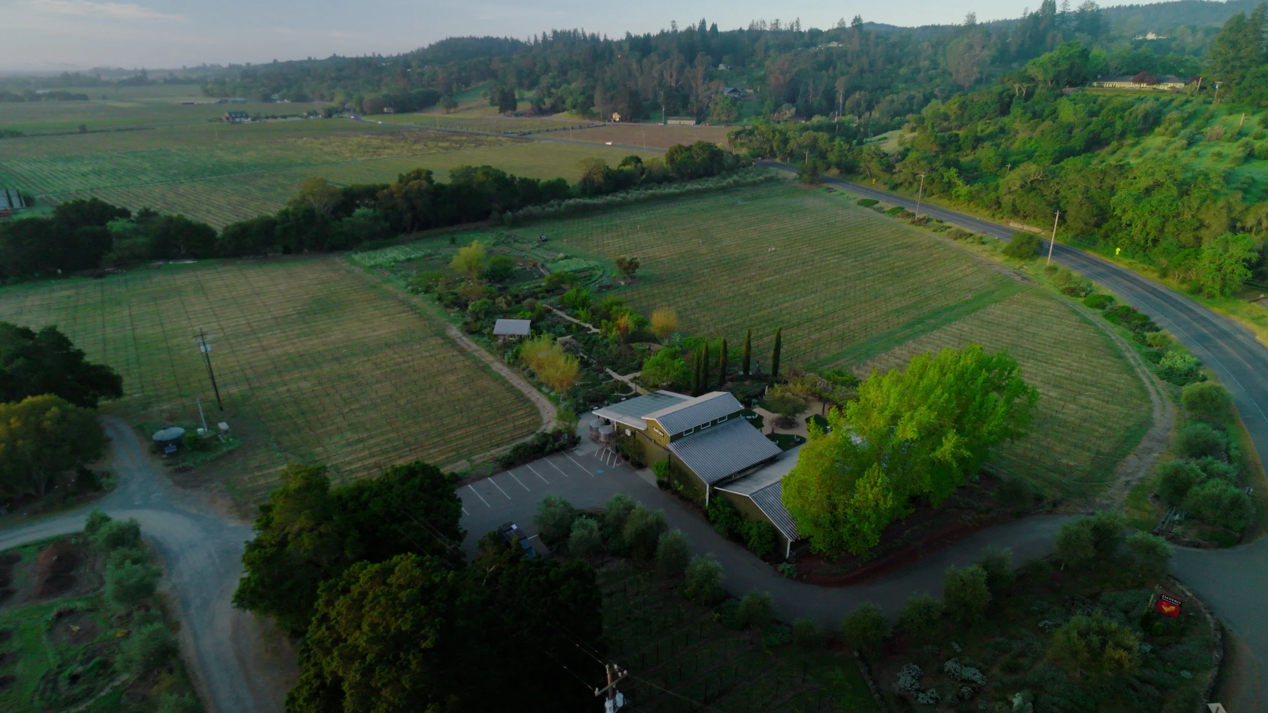 winery + road.jpg