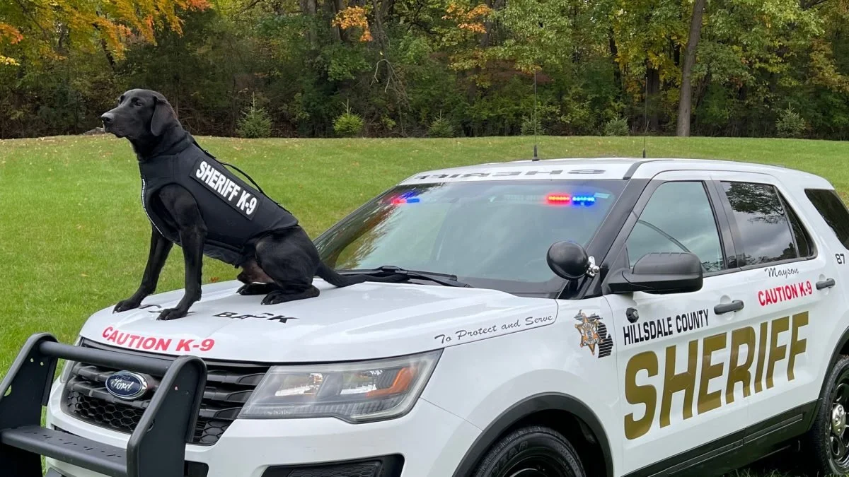 Jonesville District Library Sheriff’s Dept K-9 event