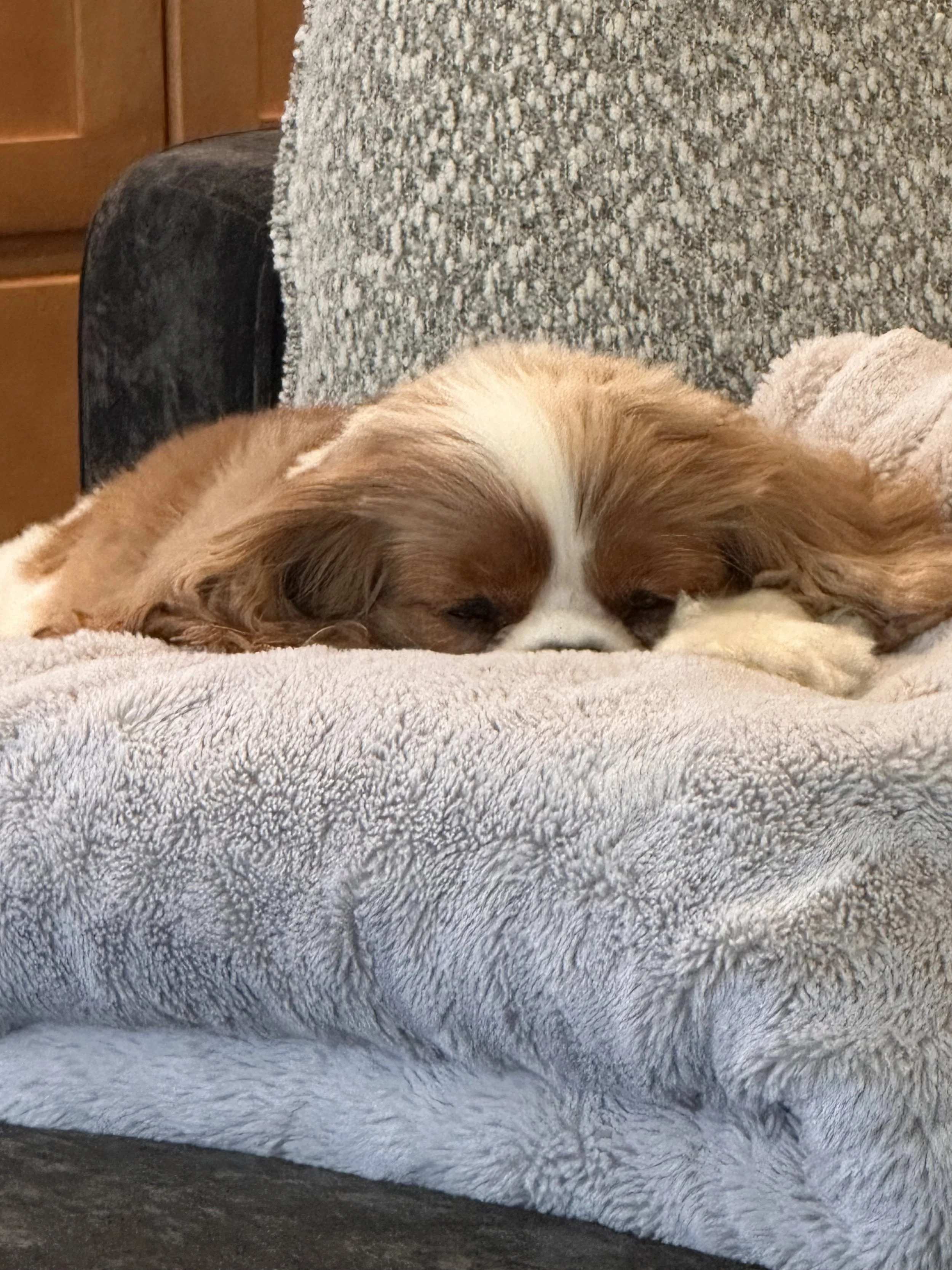 The Art of Rest