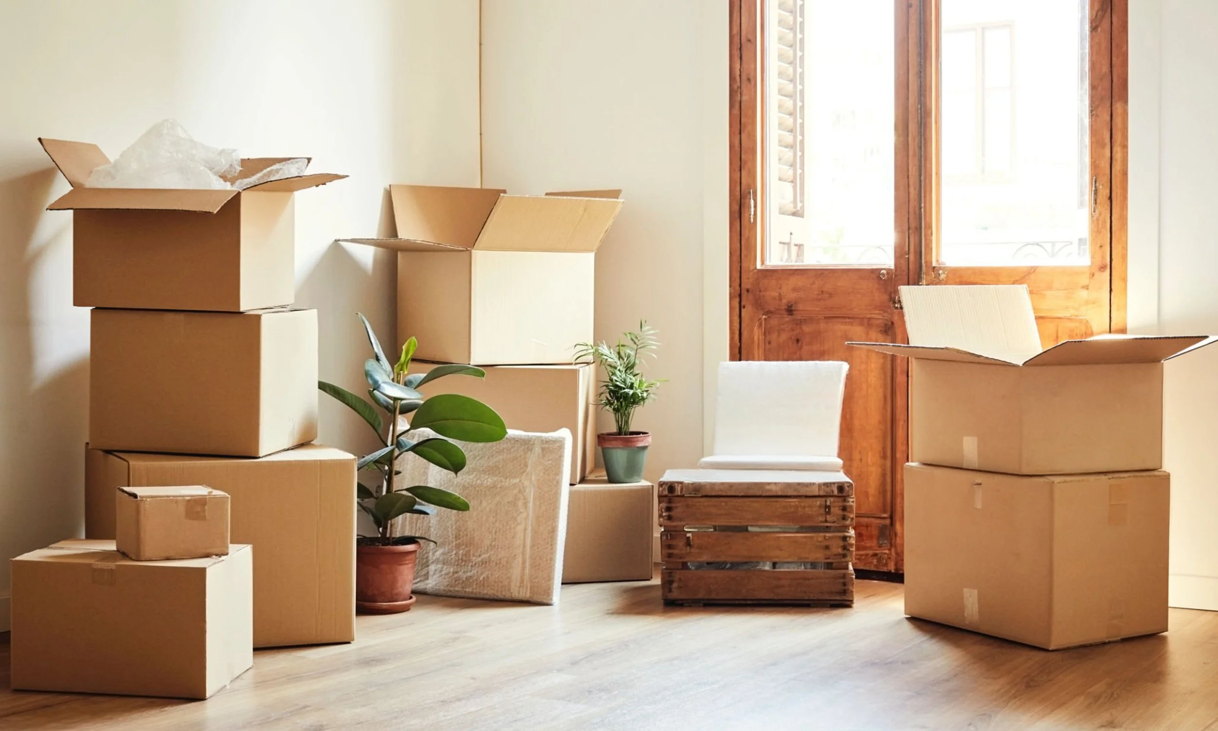 Relocating to Taranaki? Your Guide to Buying Property with Confidence