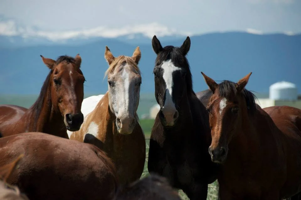 Riding instruction to build confidence