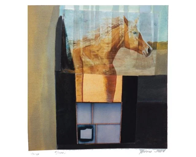 Horseback riding lessons at your home or barn