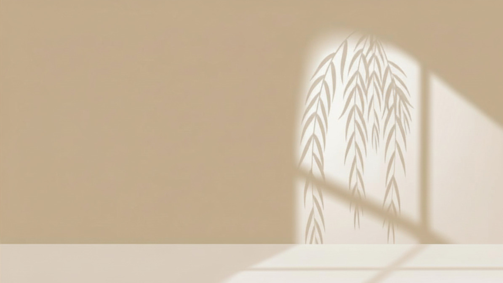 Untitled (1920 x 1080 px).png