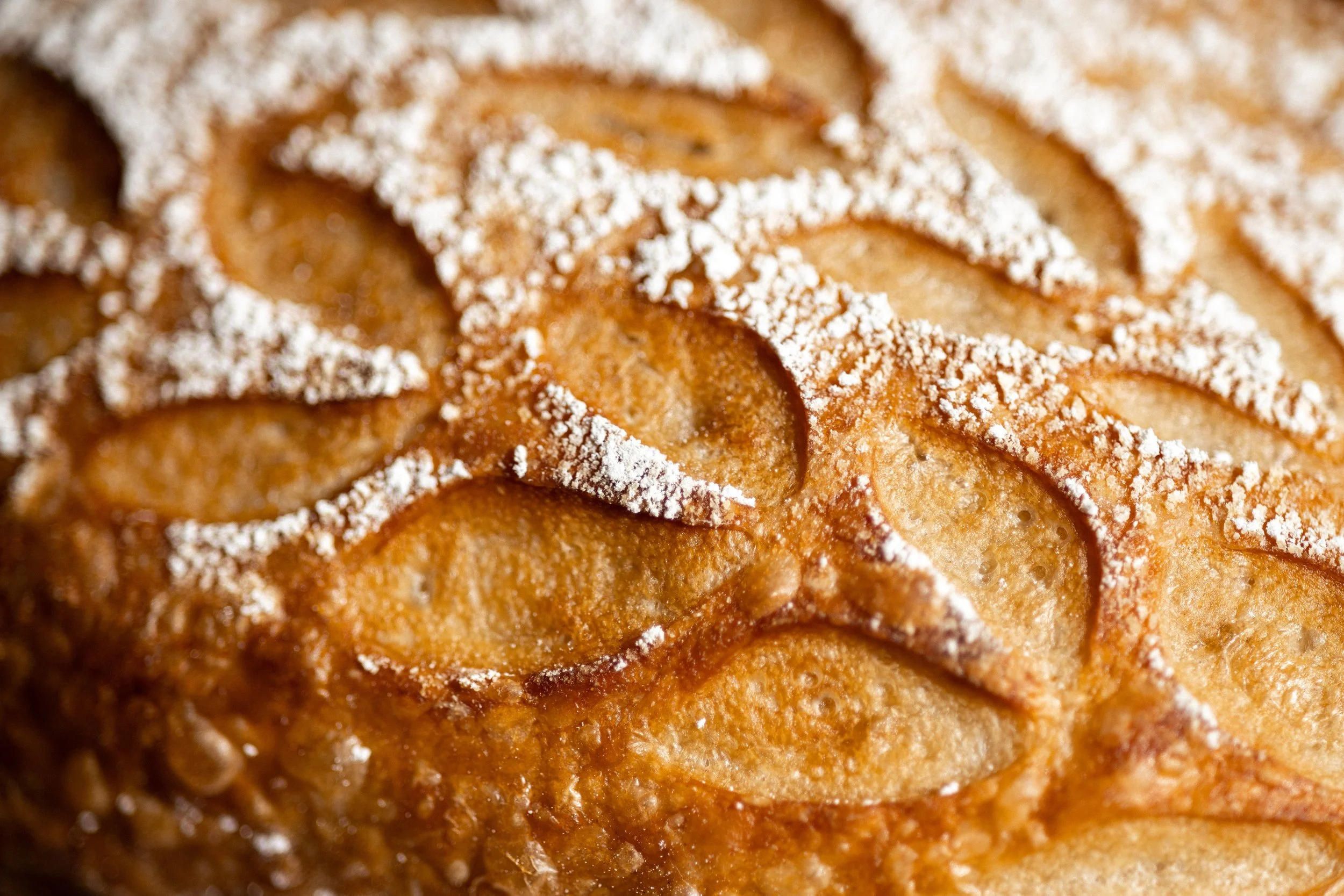 1L0A5451 (2026-03-19T20_21_28.261).jpg (Copy) (Copy) (Copy) (Copy) (Copy) (Copy) (Copy) (Copy)