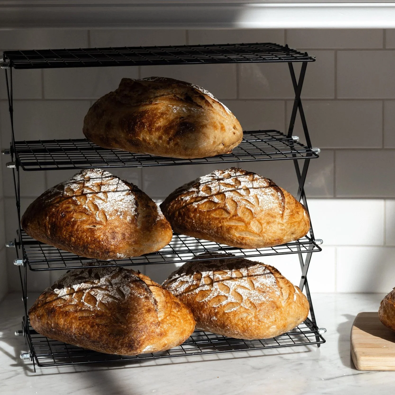 1L0A5437+%282026-03-19T20_20_50.582%29.jpg (Copy) (Copy) (Copy) (Copy) (Copy) (Copy) (Copy) (Copy)