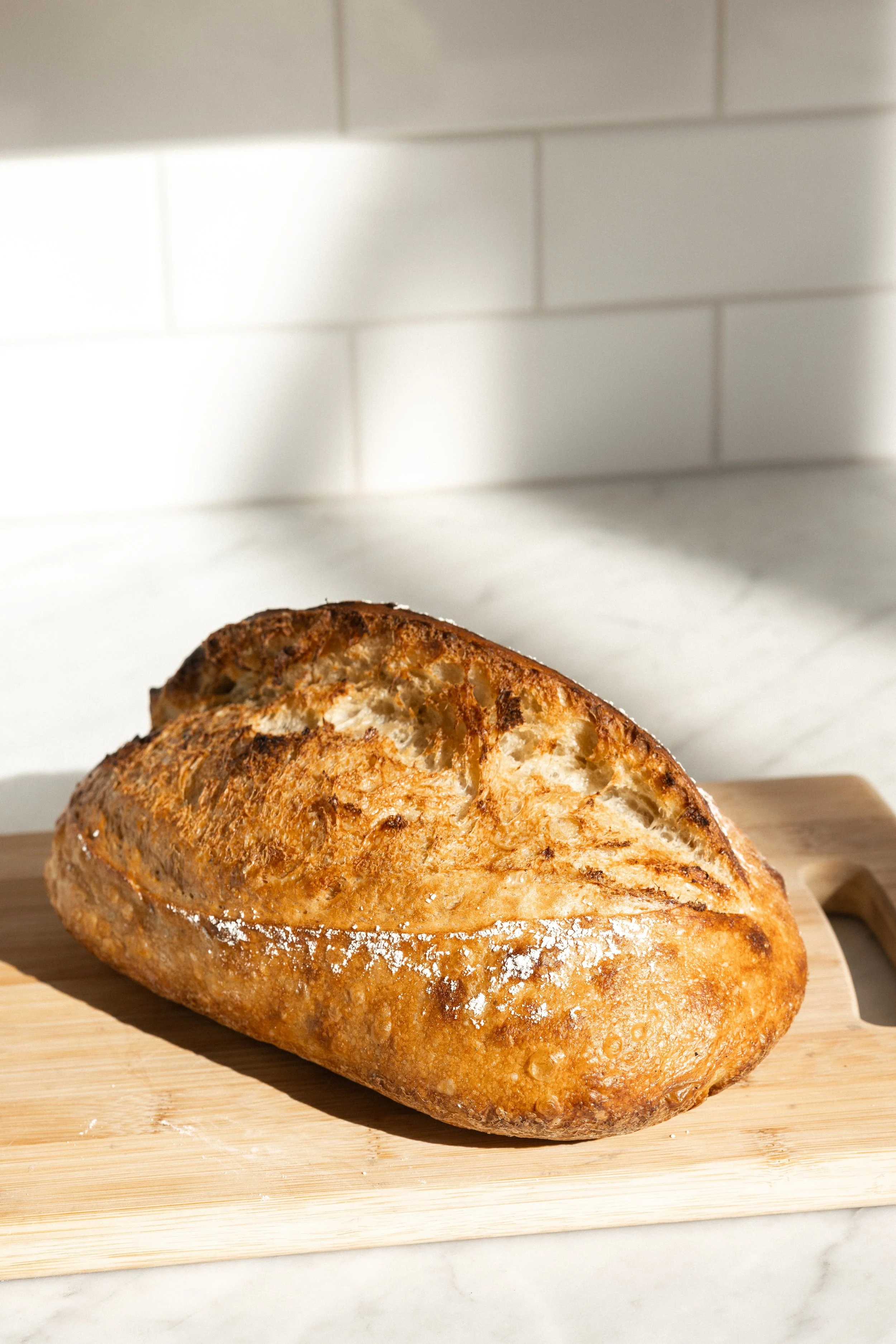 1L0A5425.jpg (Copy) (Copy) (Copy) (Copy) (Copy) (Copy) (Copy) (Copy)