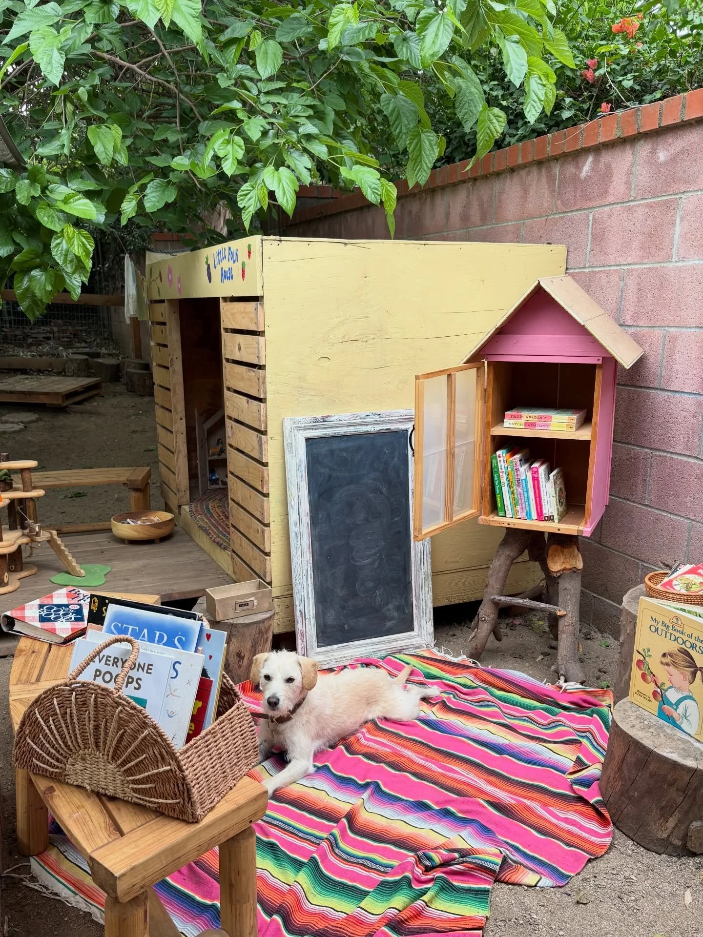 Big imaginative play is welcome here. 🌙 ✨ a week of building homes out of egg crates, painting, cooking with wild flowers in the mud kitchen &amp; welcoming Spring! 🌼 🩵 ☁️