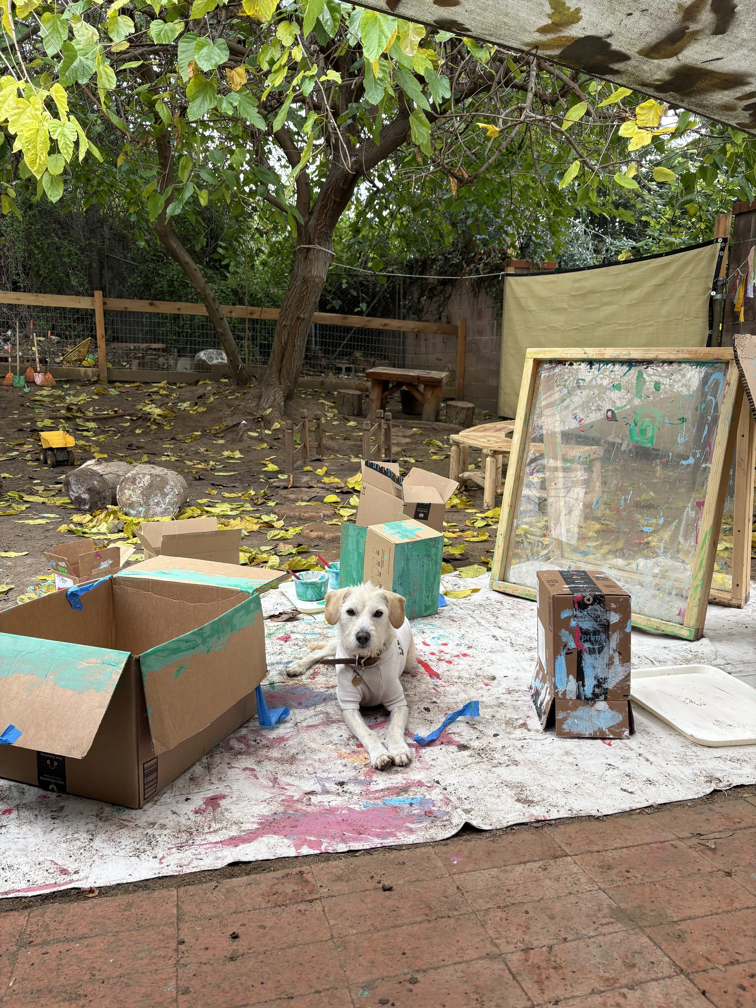 Taco Little Folk House Dog