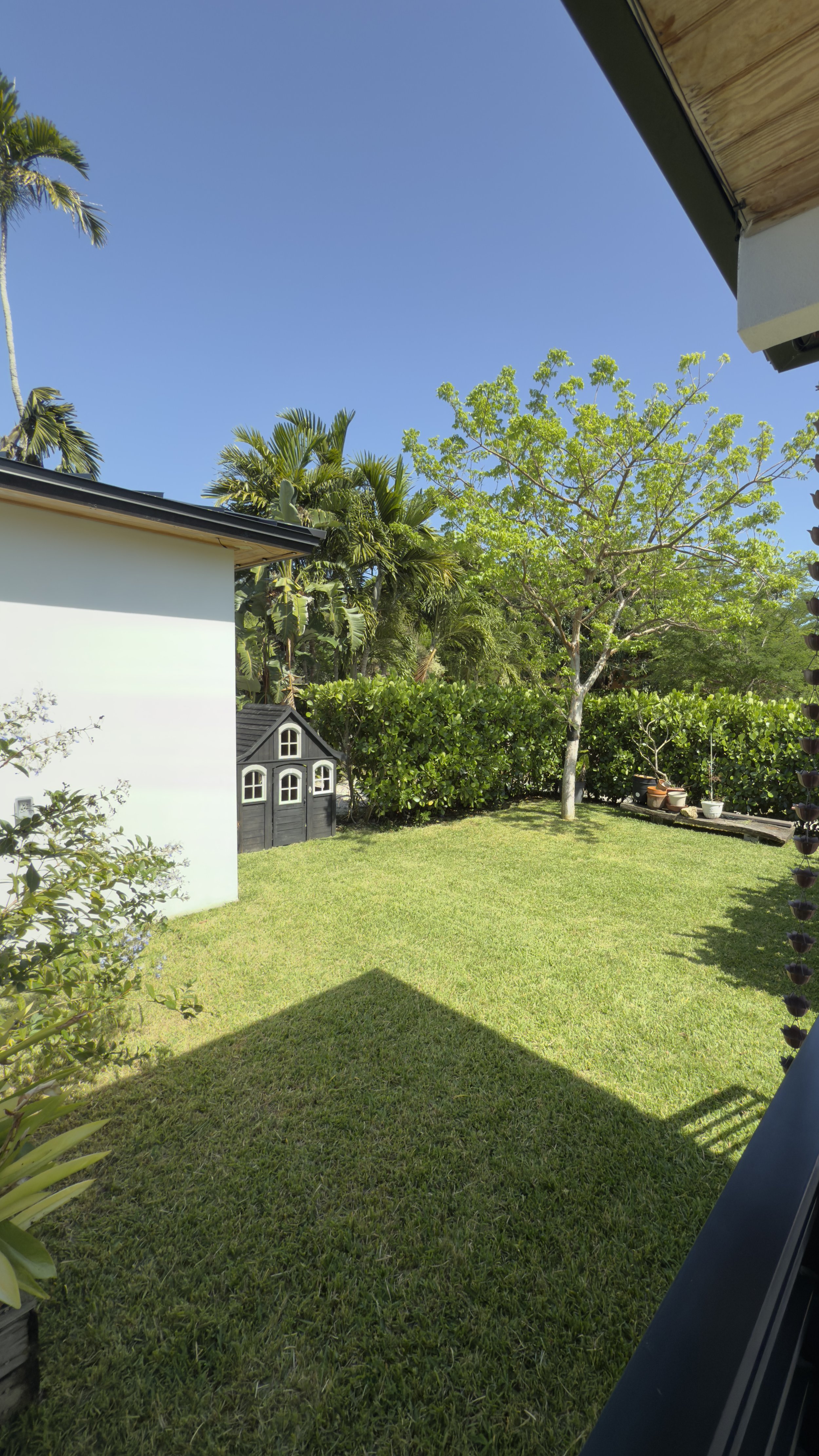 A backyard with a green lawn, trees, potted plants, and a small black wooden playhouse. Part of a white house and a roof are visible, with a bright blue sky overhead.