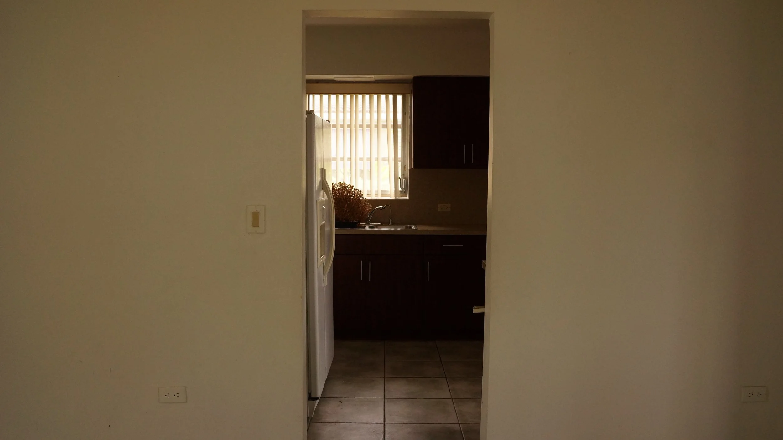 View through a doorway into a kitchen with a window, dark cabinets, a sink under the window, and a drying rack on the countertop.