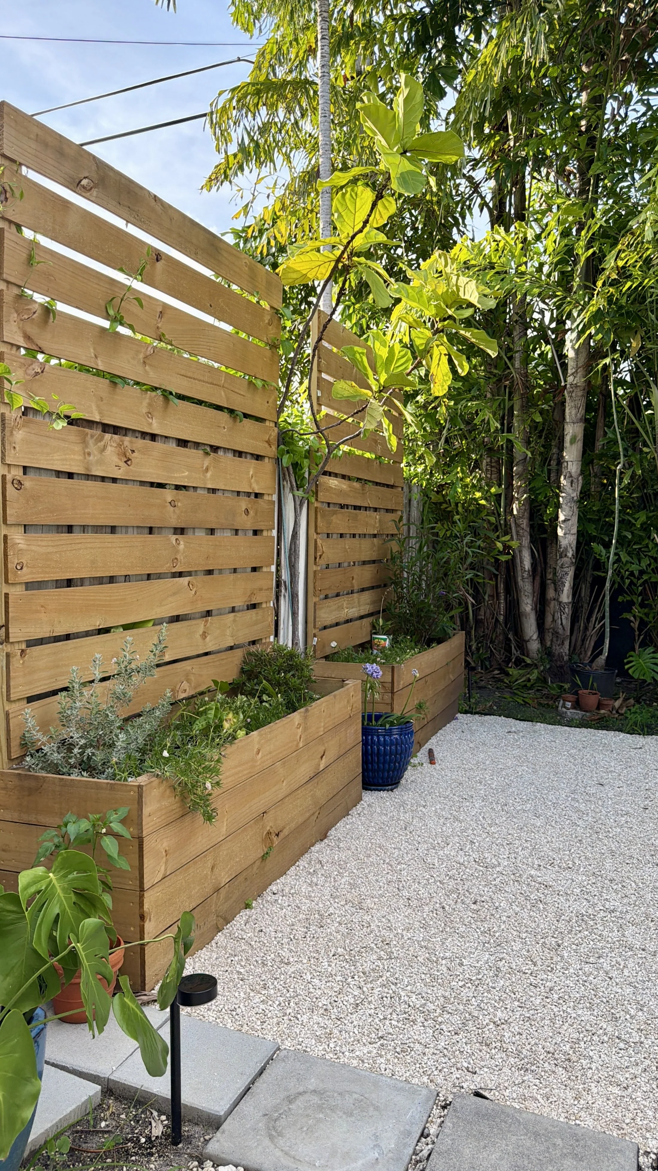 Backyard_05.jpg