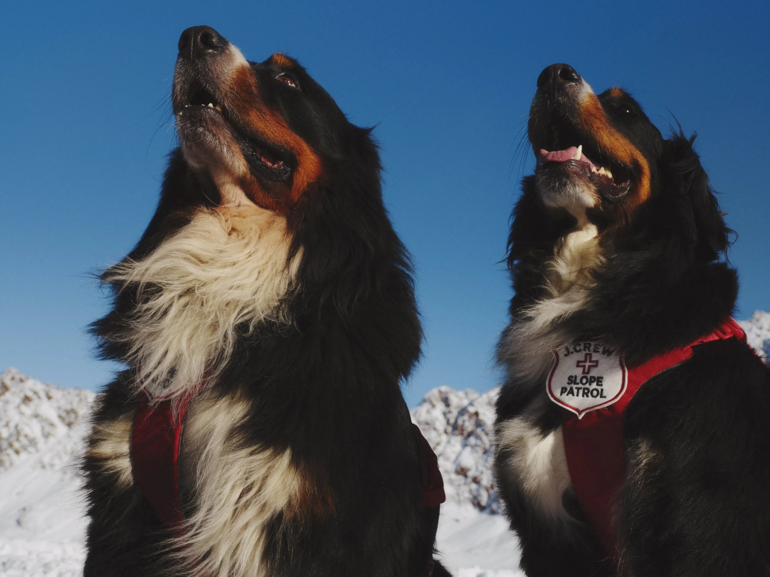 251103_JCREW_SKI_07_0727_v3_LR.jpg