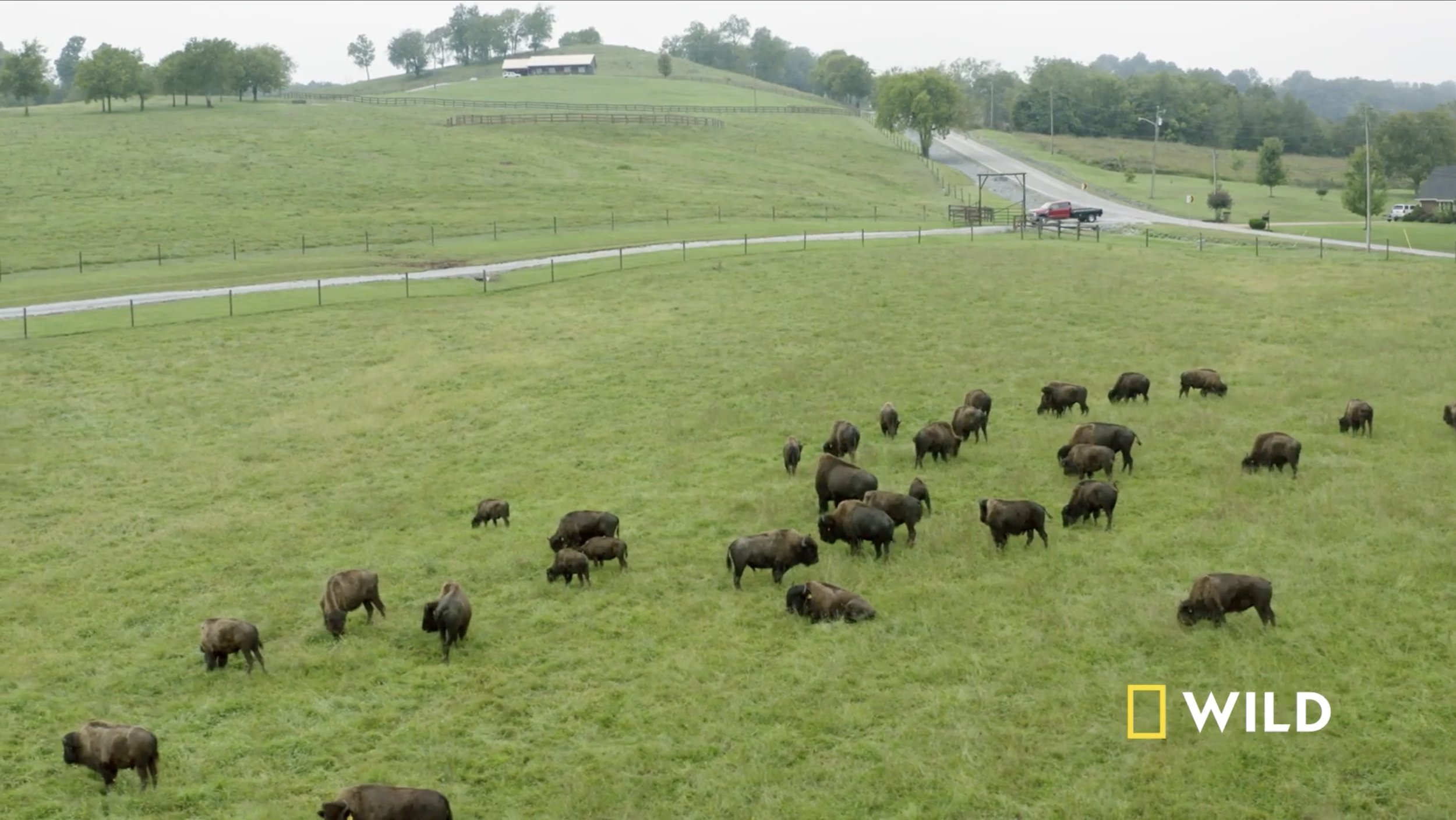 The Hatcher Family Dairy (Disney+) • Series Creator • Executive Producer