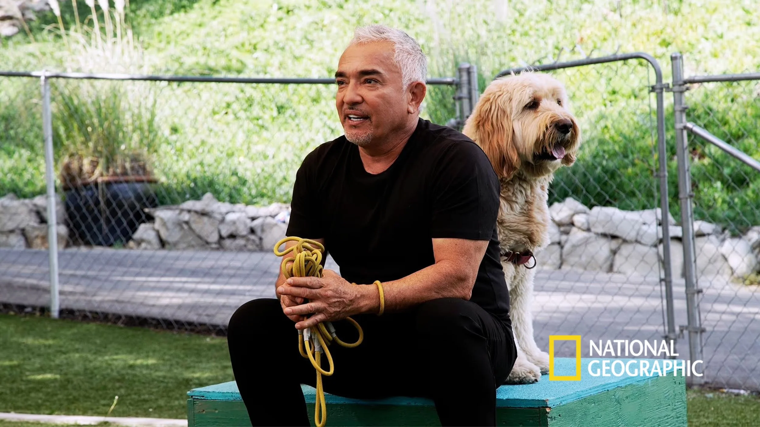 Cesar Milan Better Human Better Dog (National Geographic) Series Creator • Executive Producer
