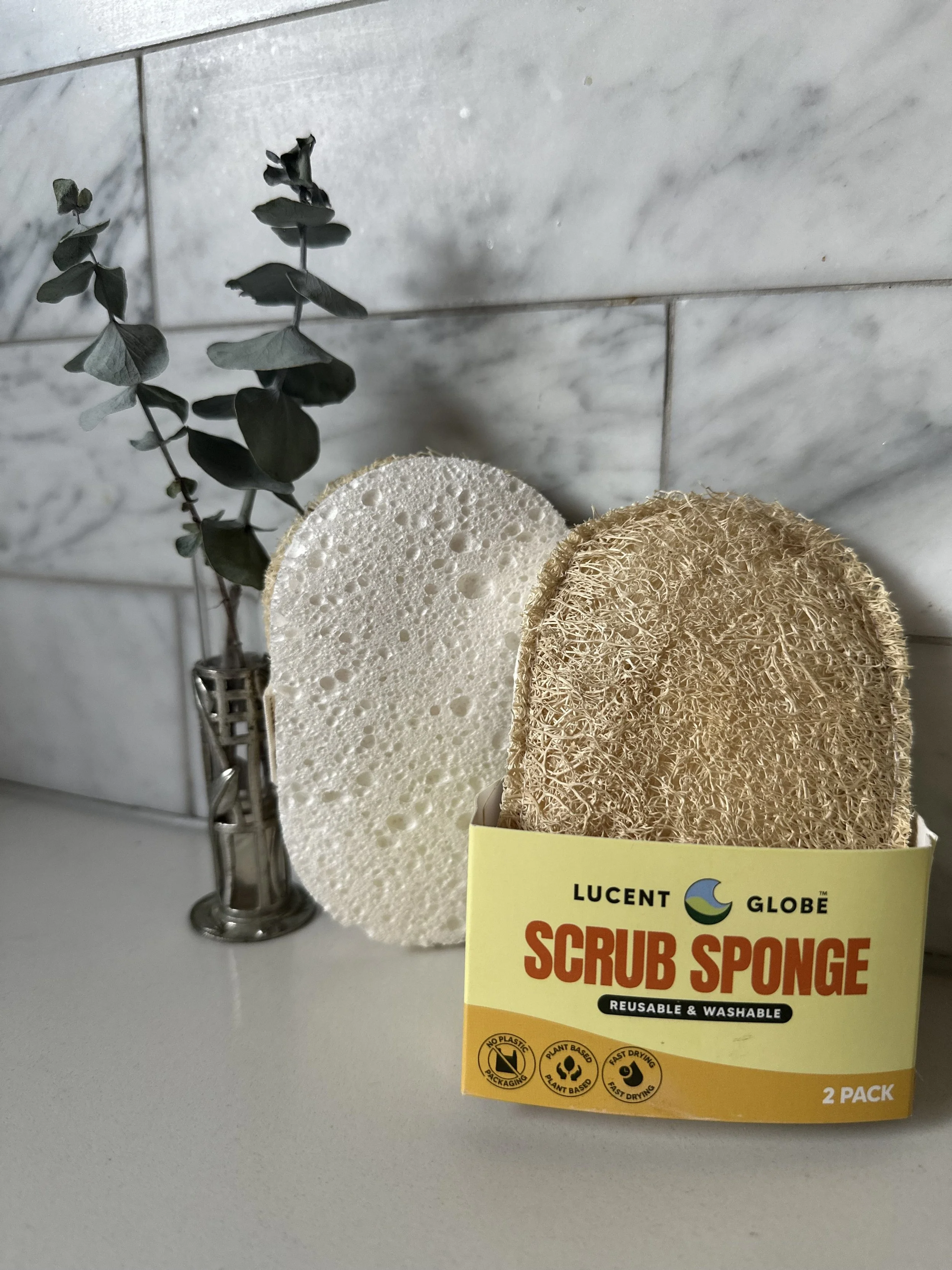 Scrub Sponge from Lucent Globe