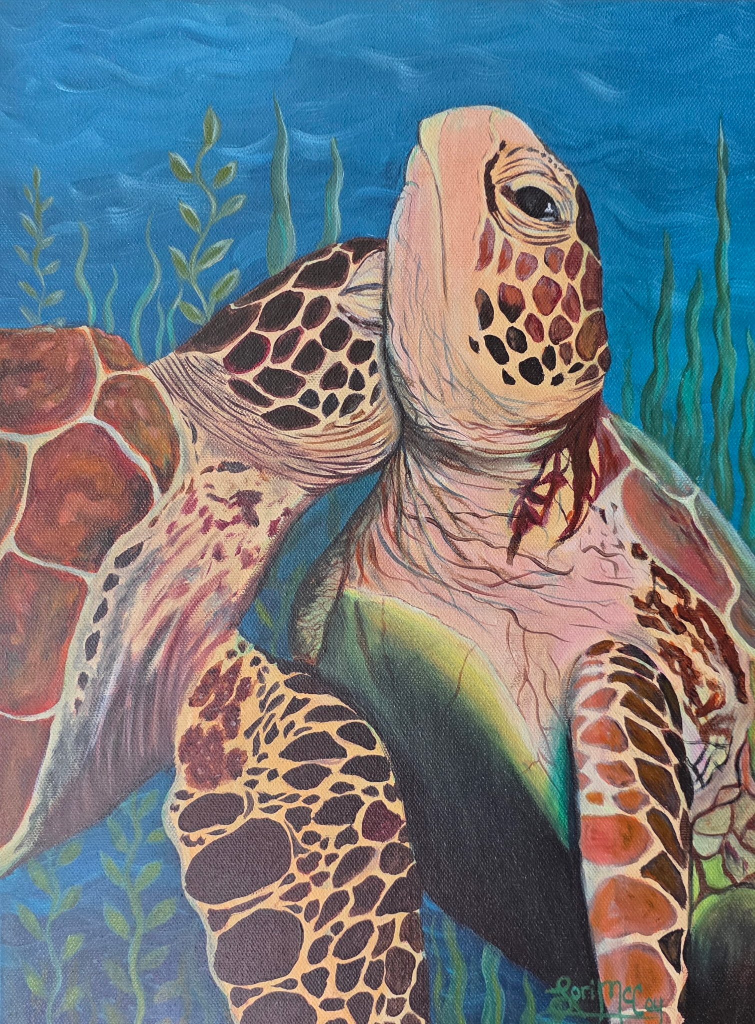 Two Turtles | fine art prints