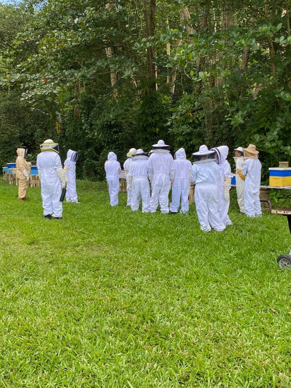 Taller sobre introducción a la apicultura en Moca
Apicultura para principiantes 4/12/2025