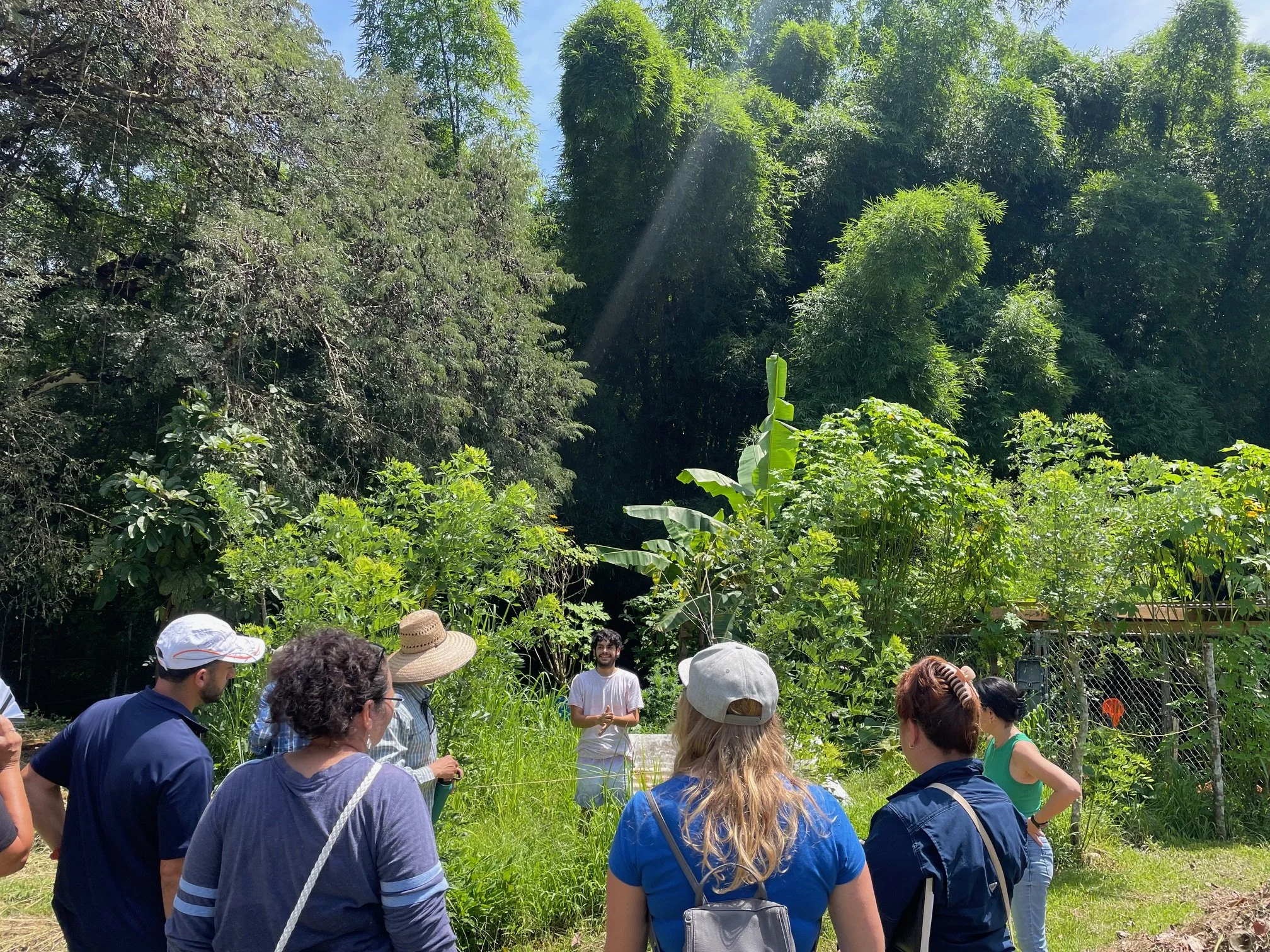 
Serie Cultivando Resiliencia Clase 8
Introducción a los sistemas agroforestales y prácticas de conservación de recursos agrícolas; 18/05/2024