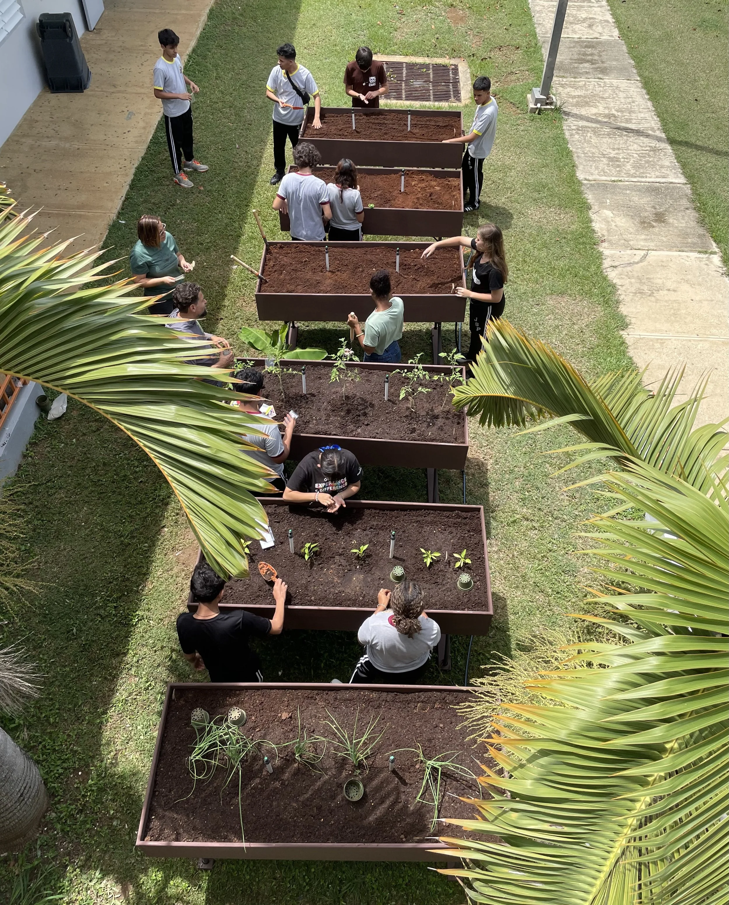 Actividades de Orientación