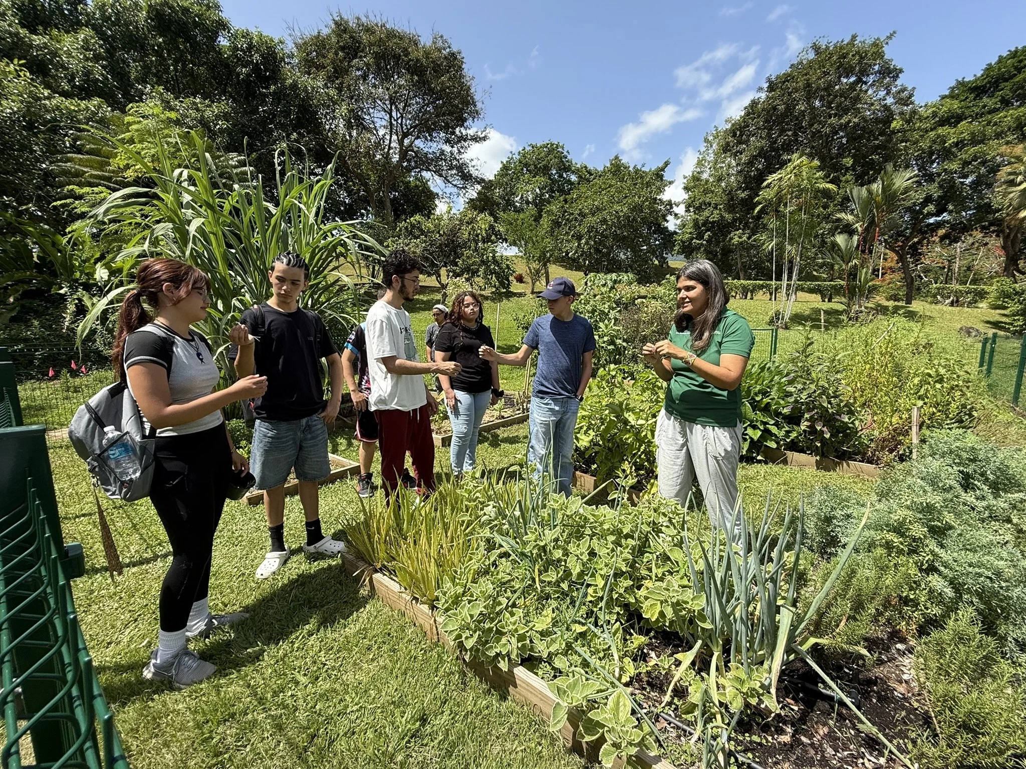 Campamento de Verano para Jóvenes