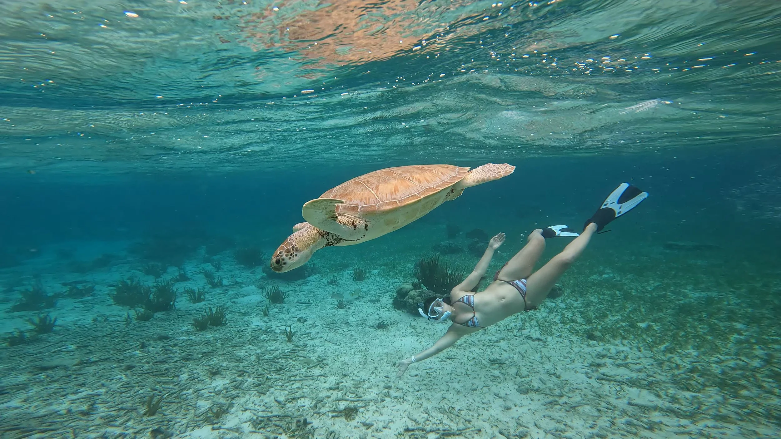 Snorkel San Pedro Belize