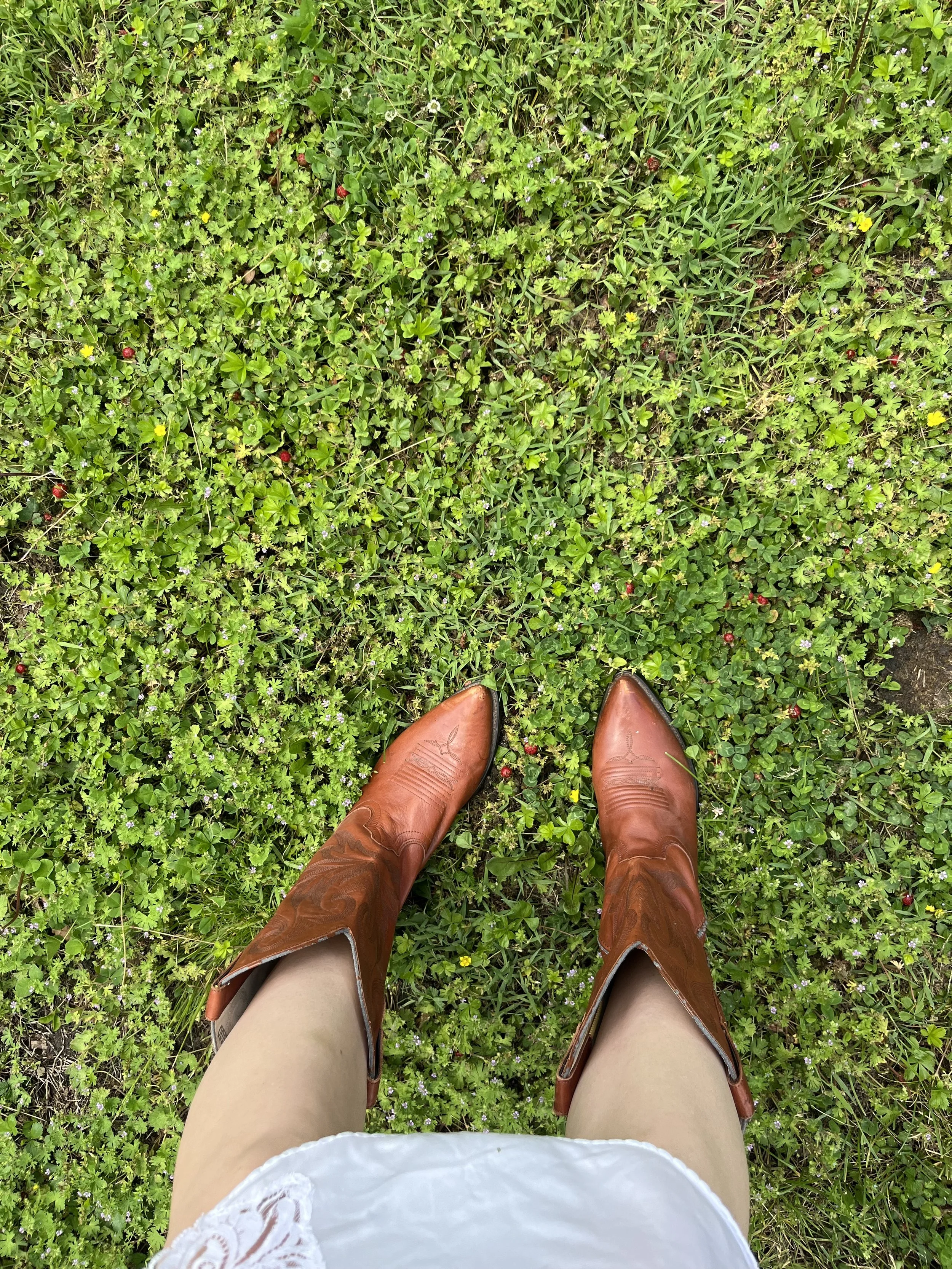 A person's legs in white dress and brown cowboy boots standing on grassy ground with small green plants and flowers.