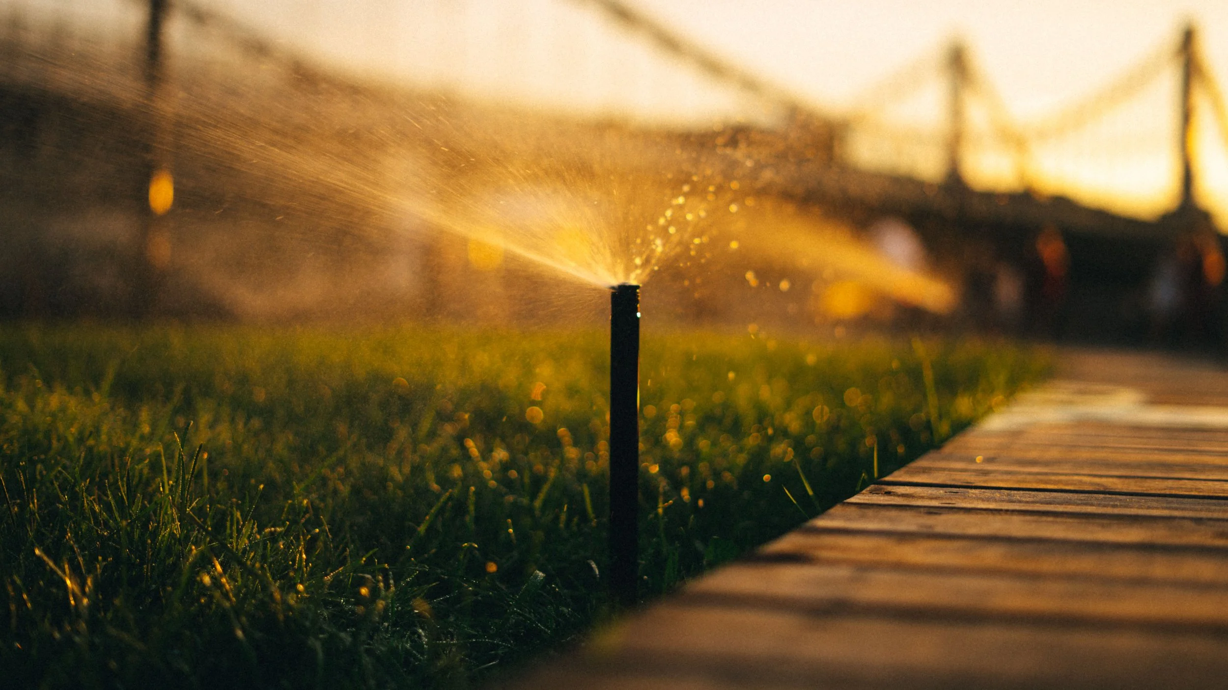 Irrigation sprinkler watering community turf at sunset