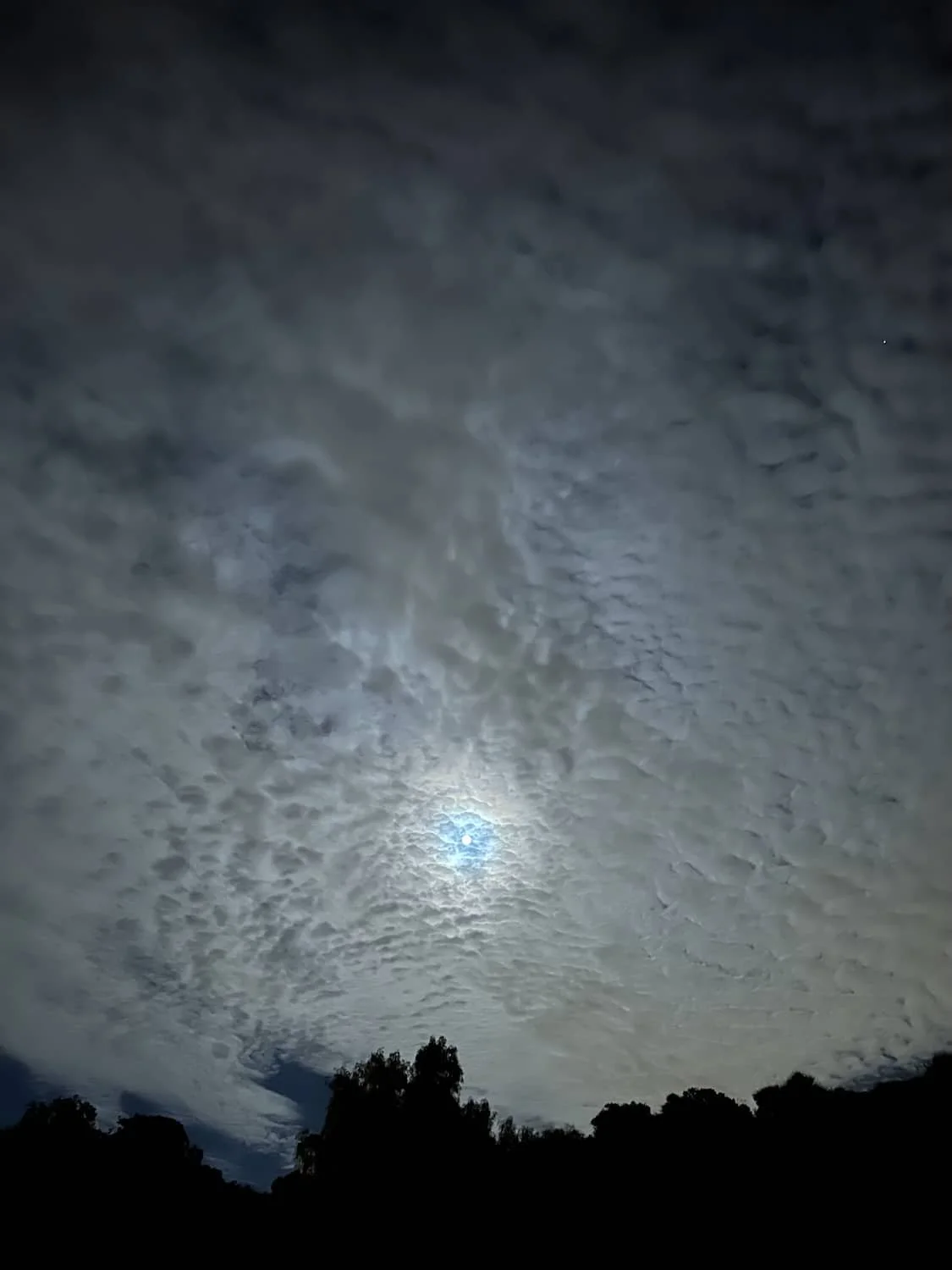 One of my hundreds of pictures of the moon.