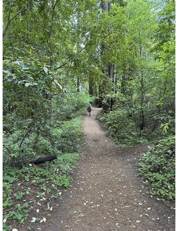 I love to explore a new trail.