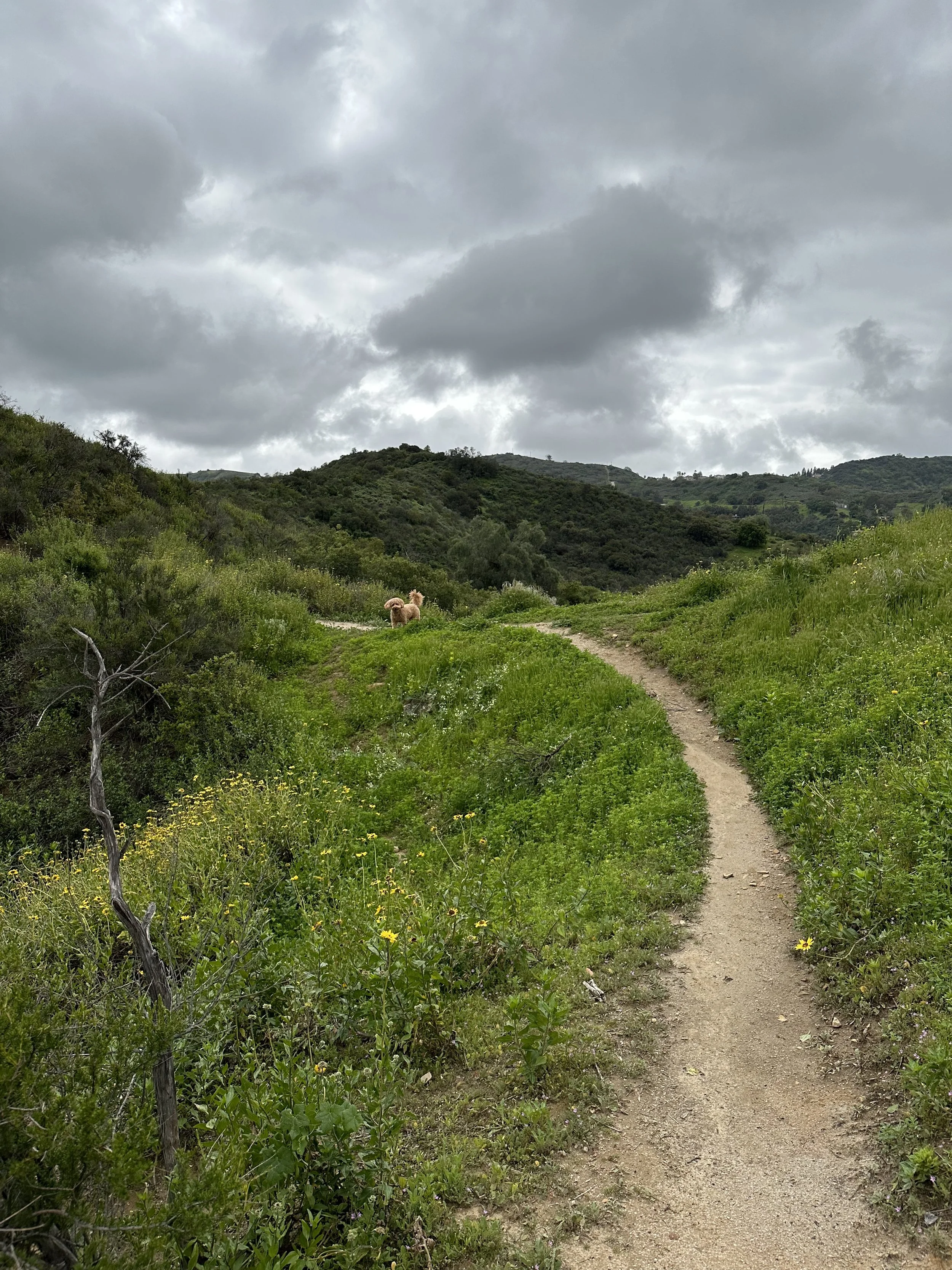 More trails to wonder about.