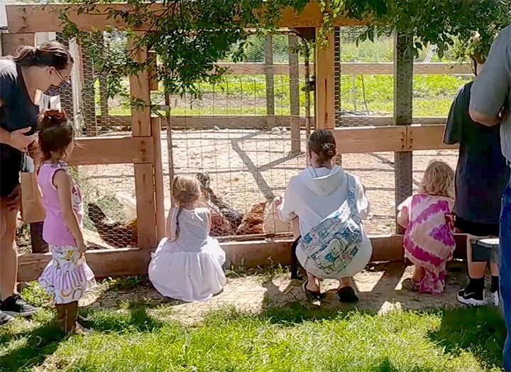 kids visiting chickens in Shawnee Town