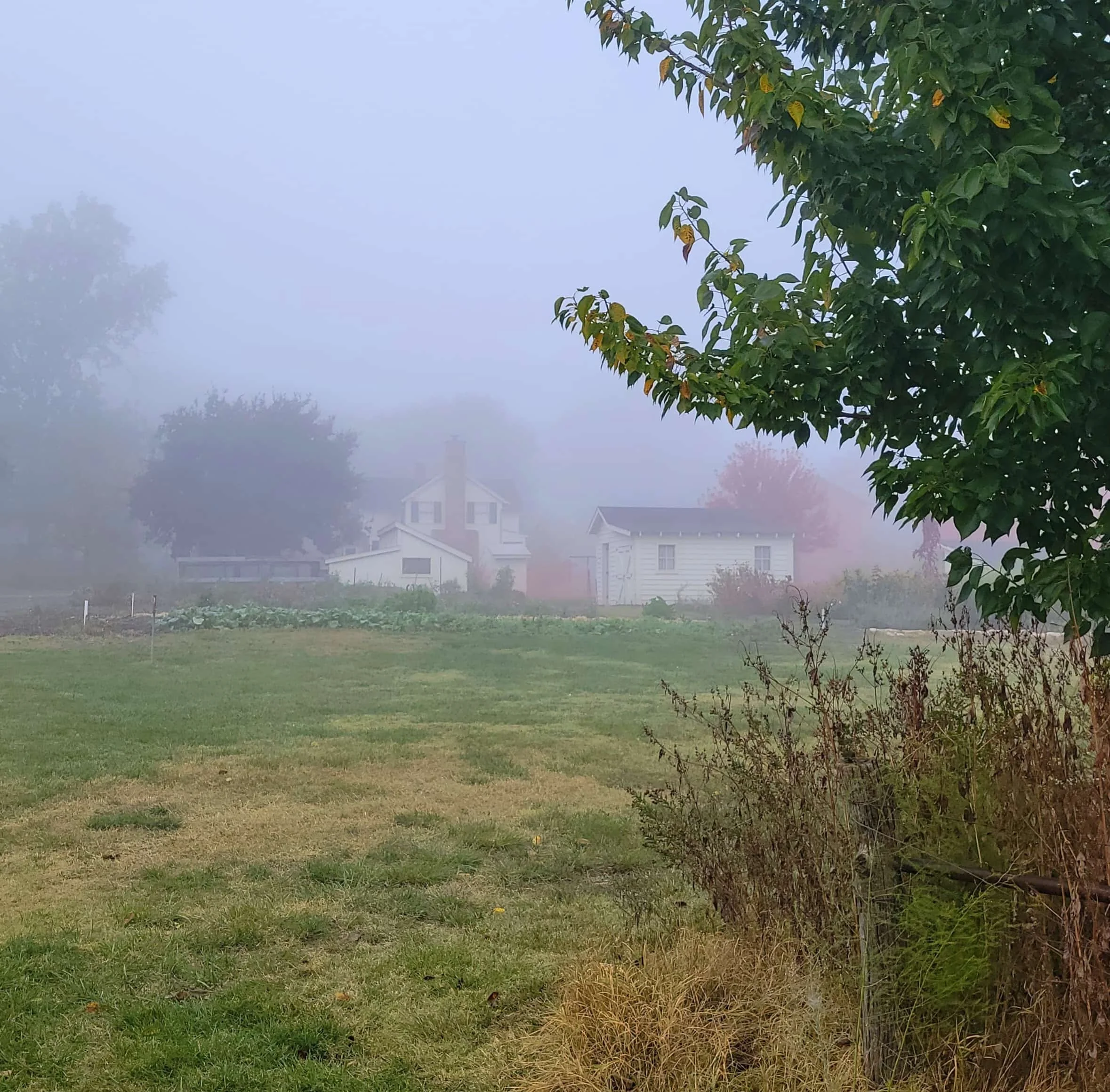 Shawnee Town in mist