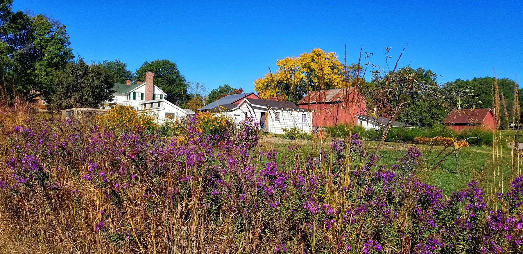 Shawnee Town in the fall