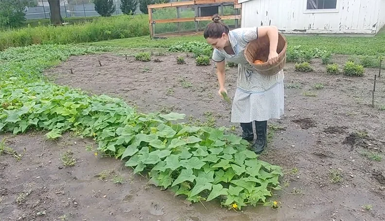A volunteer works in the garden at Shawnee Town 1929