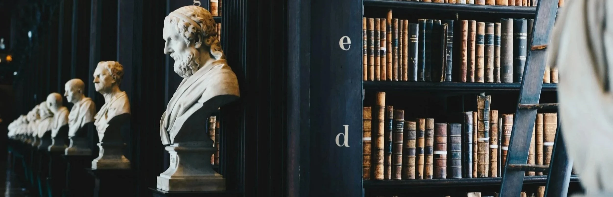 Row of classical bust sculptures on pedestals and old leather-bound books on dark wooden bookshelves in a library.