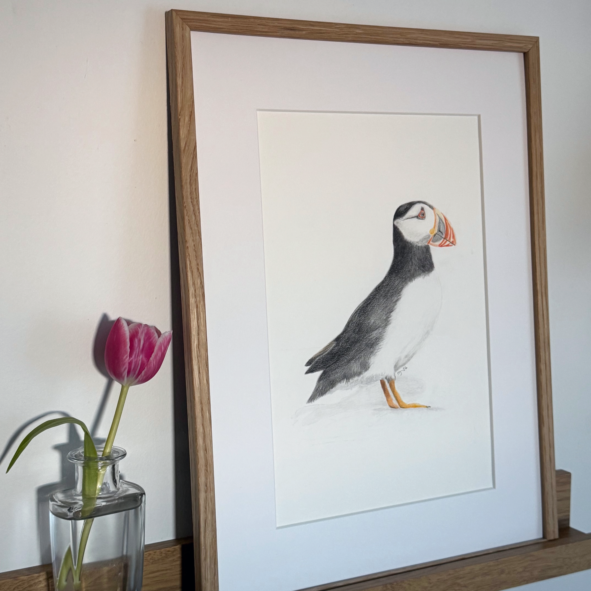 A Puffin Moment
