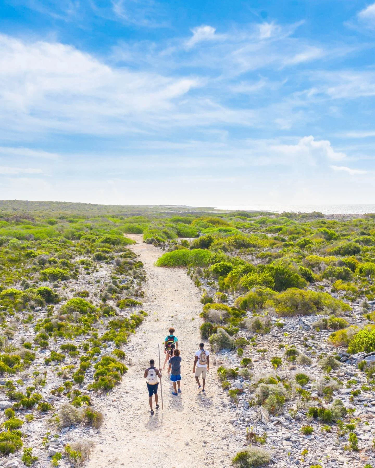 Group of people hiking on a dirt trail through a sparse, green desert landscape under a partly cloudy blue sky.