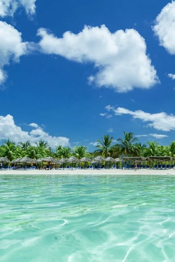 Tropical beach with clear turquoise water, palm trees, beach umbrellas, and lounge chairs under a partly cloudy sky.