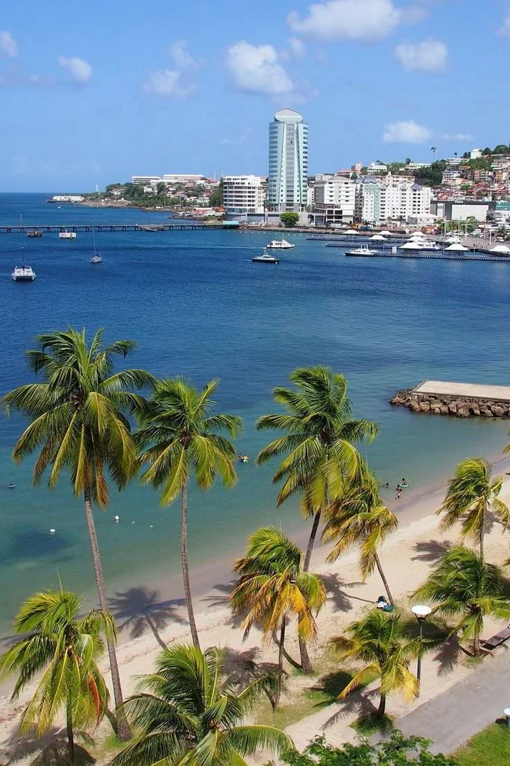 Palm trees along a sandy beach next to calm blue water with boats, with a city skyline of high-rise buildings and a tall hotel in the background under a partly cloudy sky.