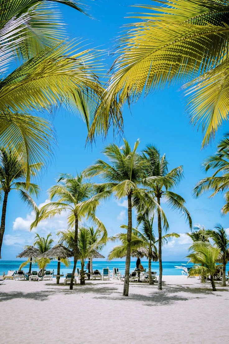 A tropical beach scene with palm trees, beach chairs, and thatched umbrellas on white sand facing the ocean under a clear blue sky.