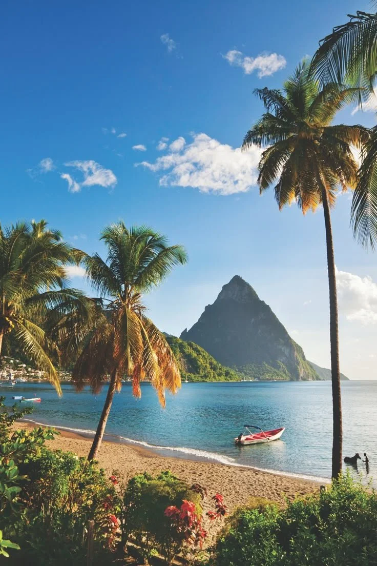 Tropical beach scene with palm trees, a boat in the water, and a mountain in the background under a blue sky.