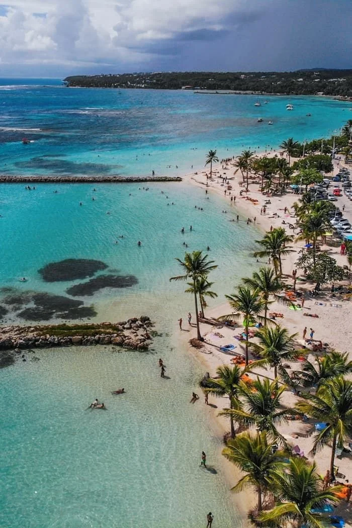 Sunny beach with palm trees, people swimming, and cars parked along the shore under a partly cloudy sky.